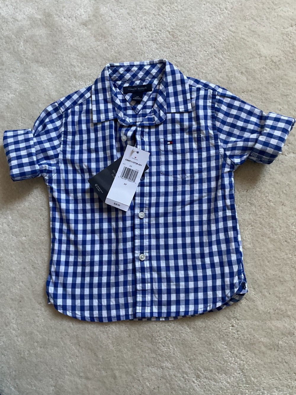 Tommy Hilfiger Blue and White Plaid Button-Down Shirt
